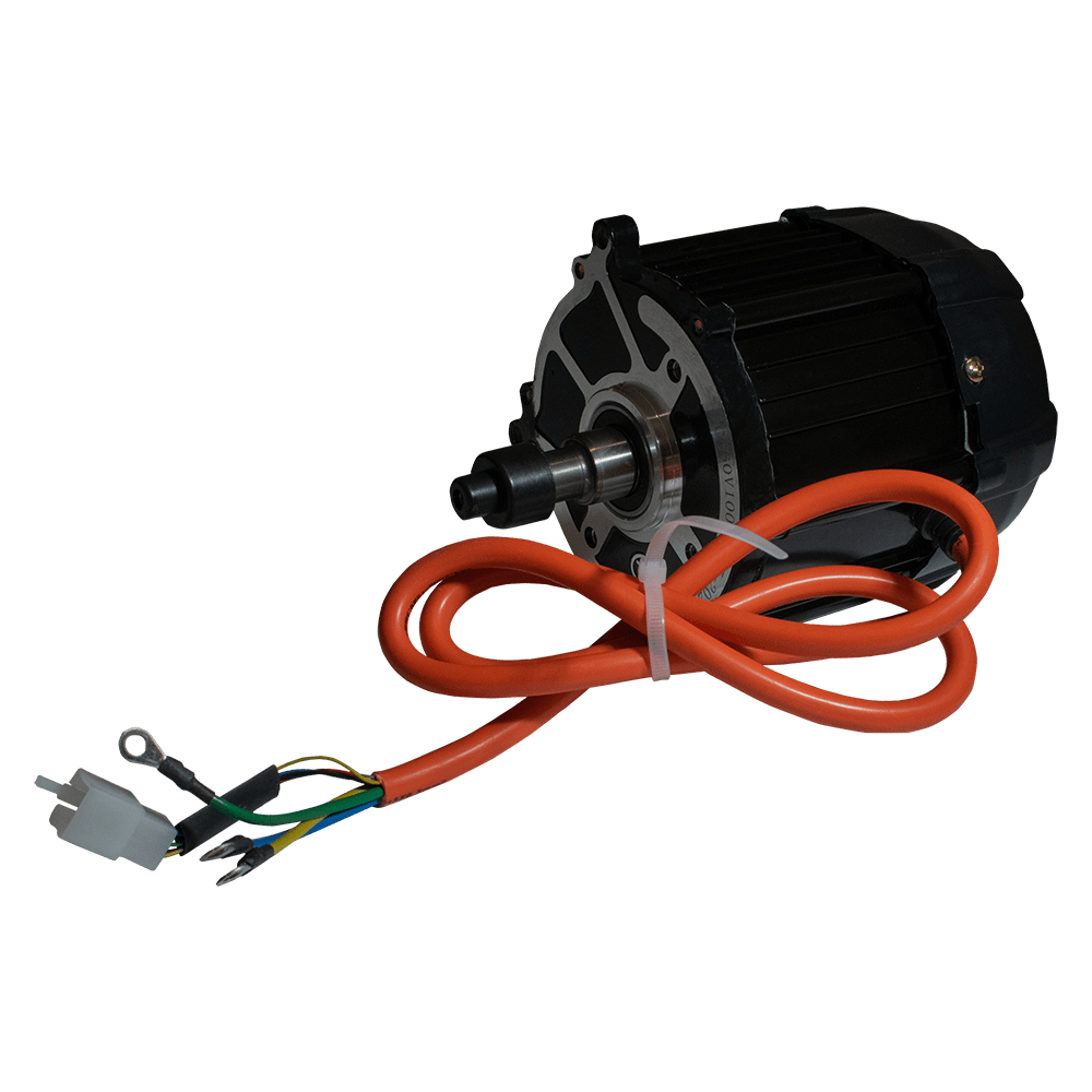 Gebürsteter Motor EEC 60V/1000W (Ersatzteile) (Cargo 500 EEC)