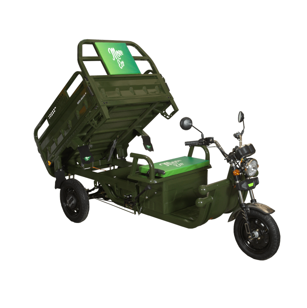 Zugelassenes elektrisches Dreirad, begrenzt auf 25 km/h